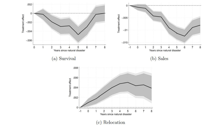 Effects of floods on firm survival, sales, and relocation 